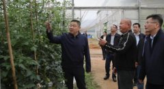 南靖县带领深切龙山镇调研春季农业出产